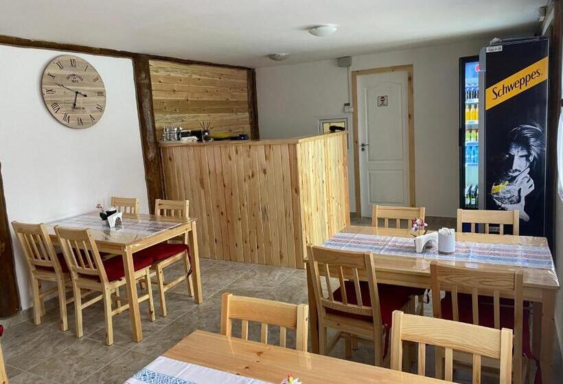 پانسیون Casa Mocanitei