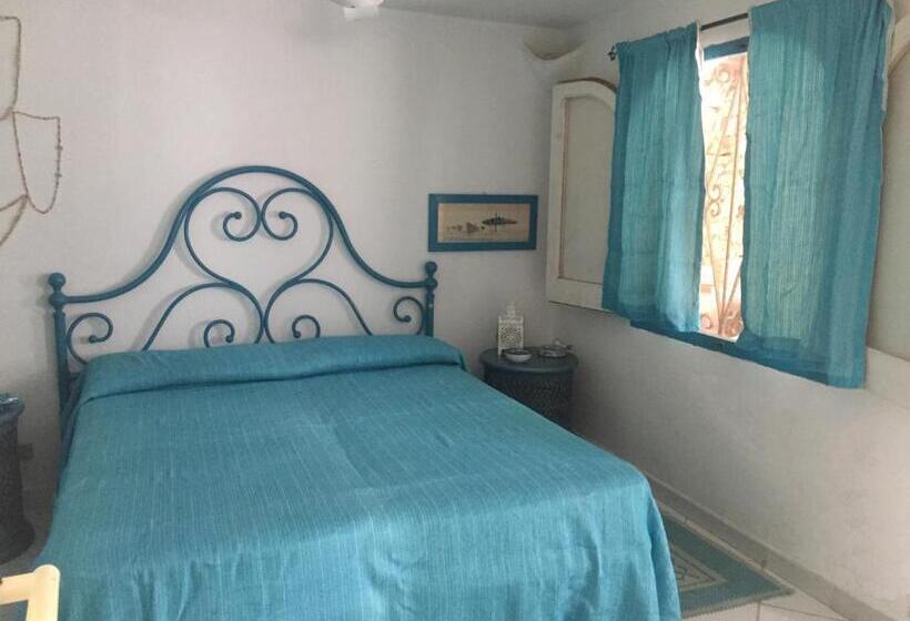 Пансион Casa Tortuca