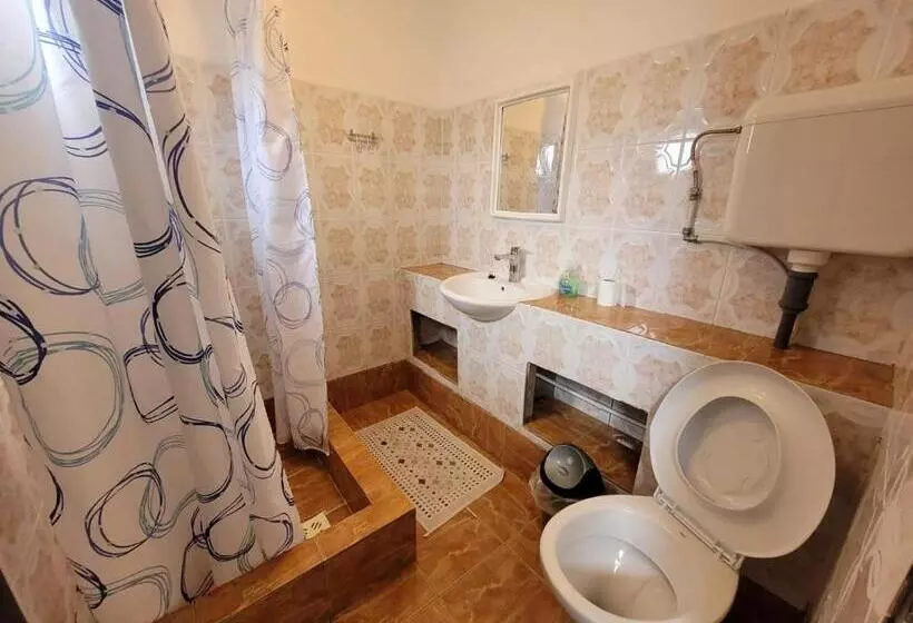 پانسیون Vila Didi, Mangalia