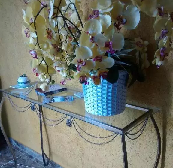 هاستل Pousada Família Flores