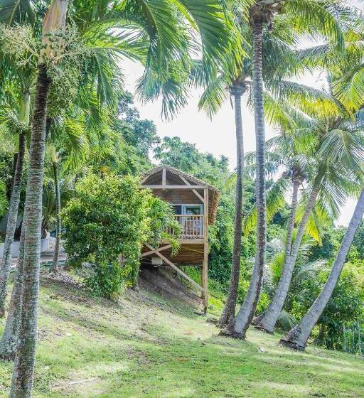 تختخواب و صبحانه Carre Royal