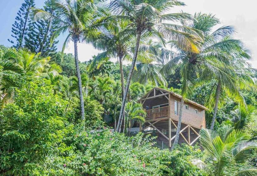 تختخواب و صبحانه Carre Royal