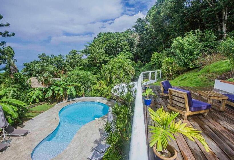 تختخواب و صبحانه Carre Royal