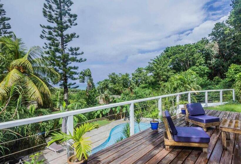 تختخواب و صبحانه Carre Royal