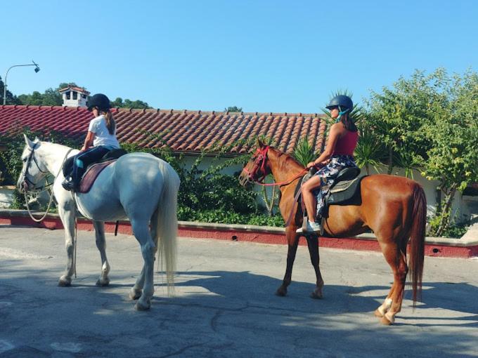 Bed & Breakfast Dei Colli