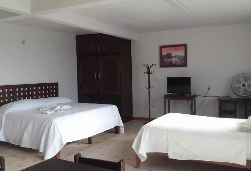 Casa Ziga Centro