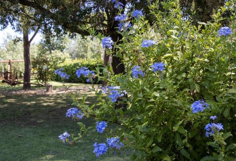 هتل Agriturismo Salcino