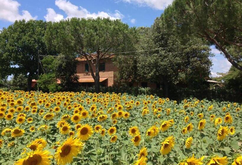 هتل Agriturismo Salcino