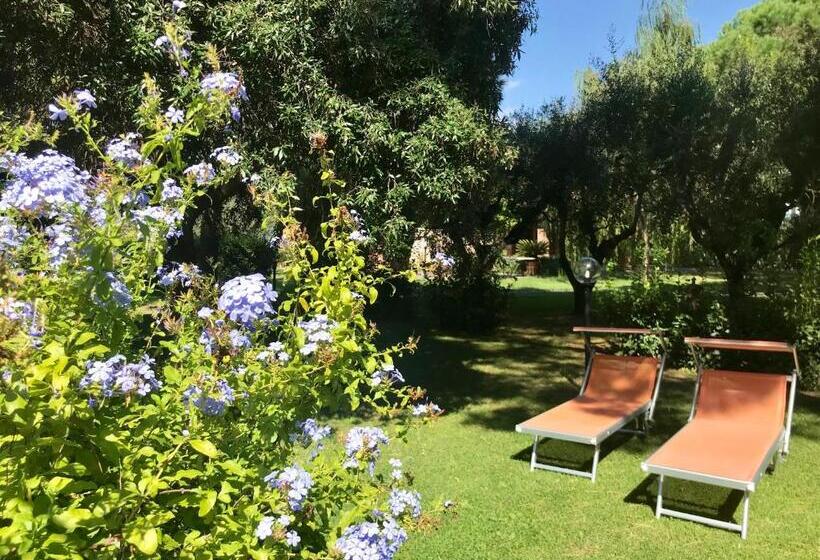 هتل Agriturismo Salcino