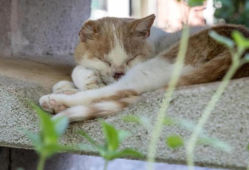 هتل Agriturismo Salcino