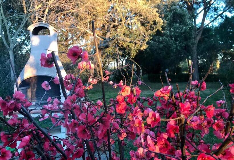 هتل Agriturismo Salcino