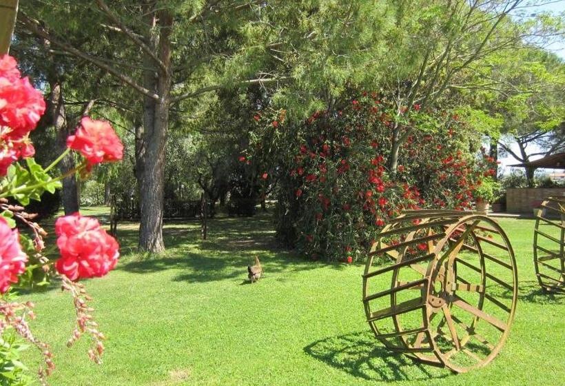 هتل Agriturismo Salcino