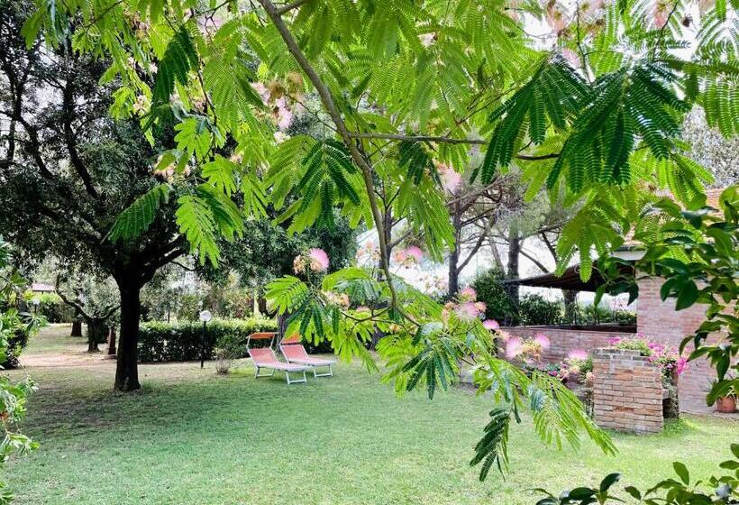 هتل Agriturismo Salcino