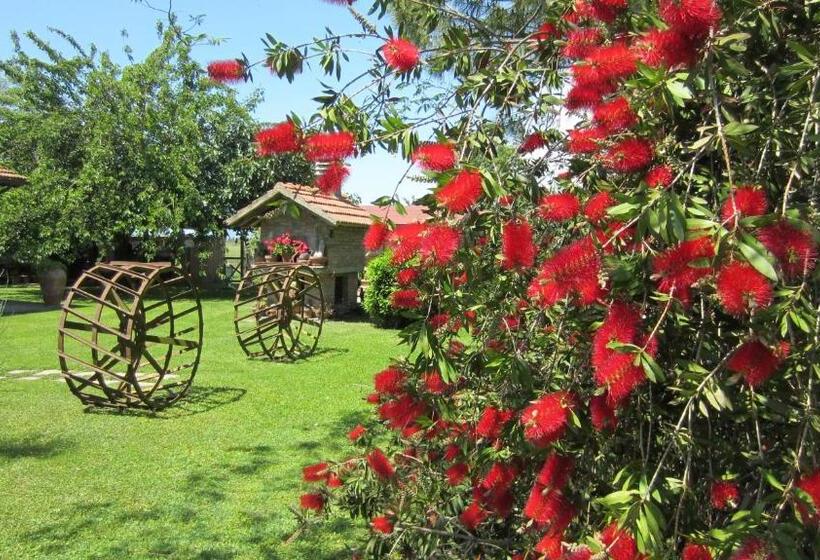 هتل Agriturismo Salcino