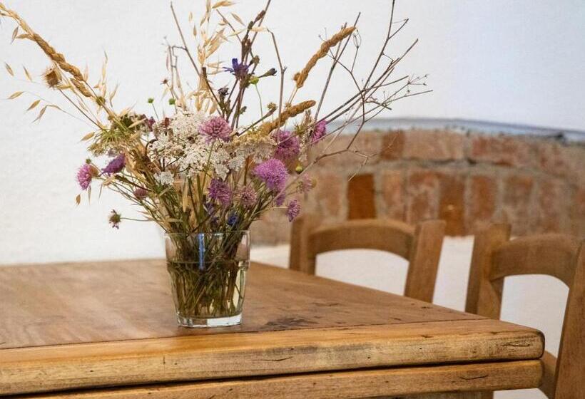 هتل Agriturismo Salcino