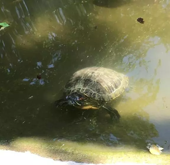 ホテル Quinta Souffle