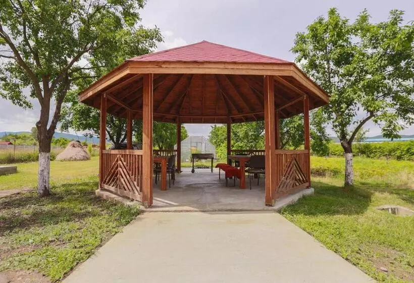 ペンション Casa Iulia