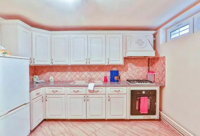 ペンション Casa Iulia