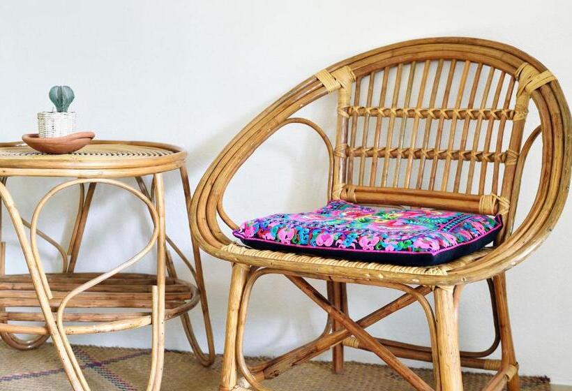 膳宿费 Green Pepper