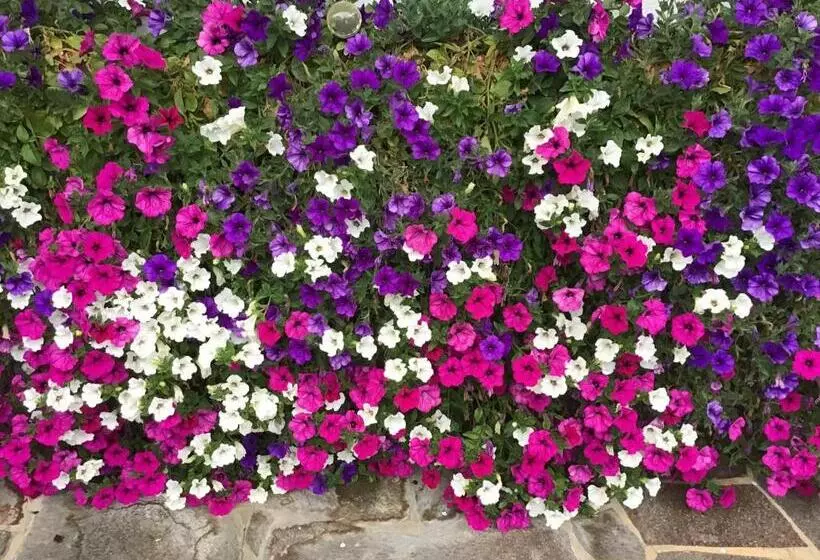 ペンション Gästehaus Wanker