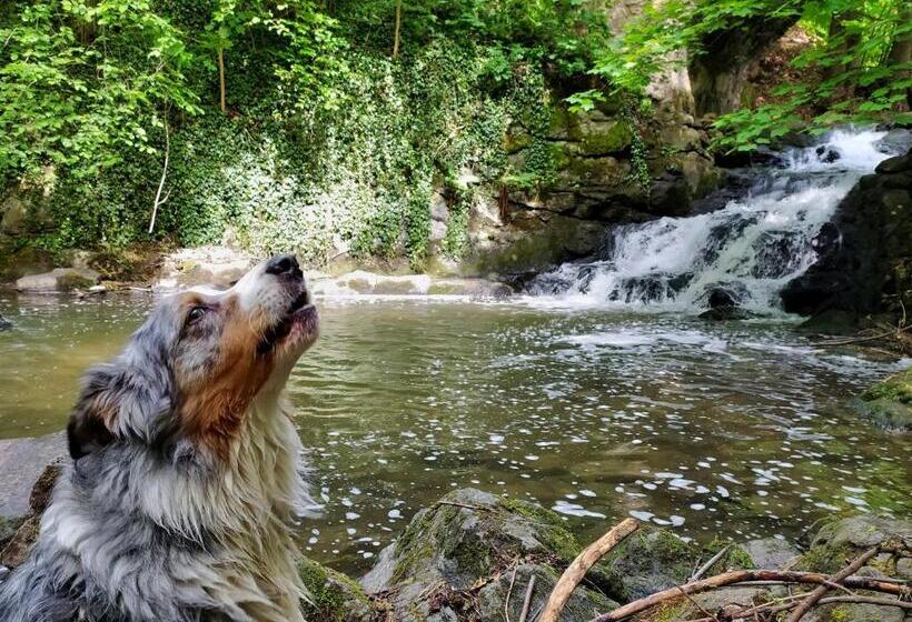 Pensjonat Housův Mlýn