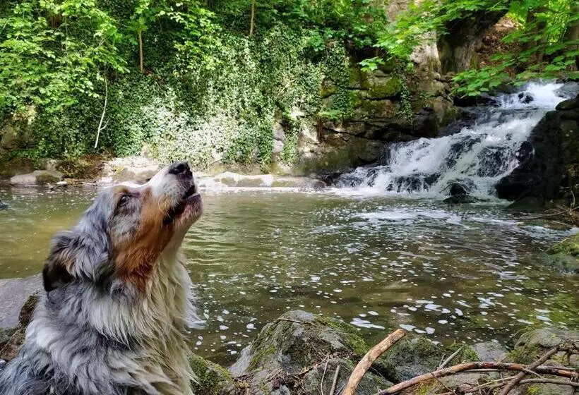 Majatalo Housův Mlýn