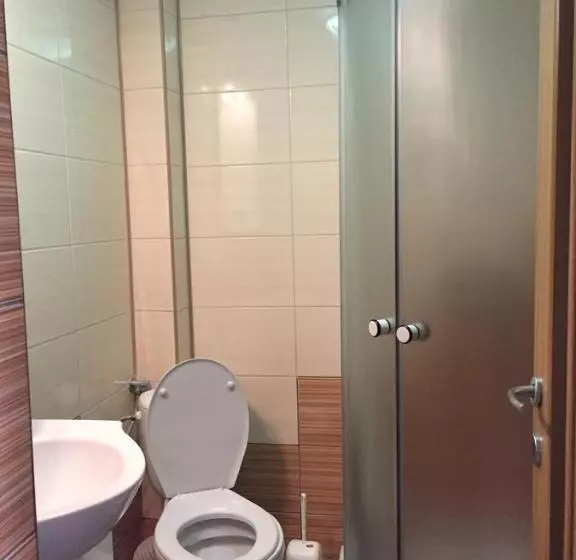 Pensiunea Roka
