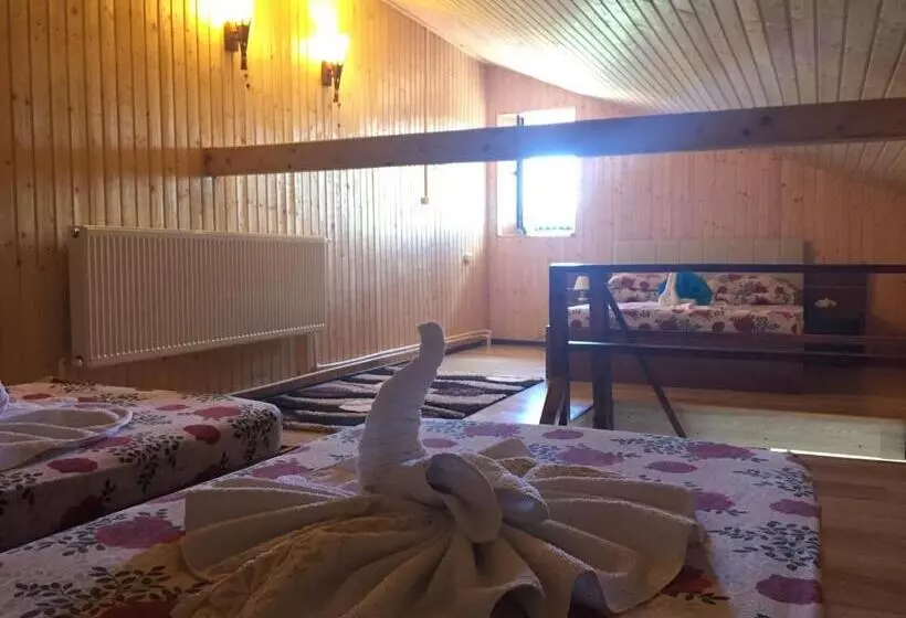 Pensiunea Roka