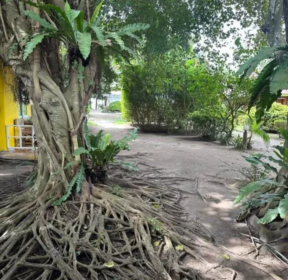 Lomakeskus Colorful Hut