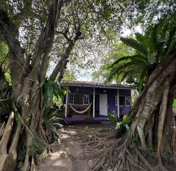 Lomakeskus Colorful Hut