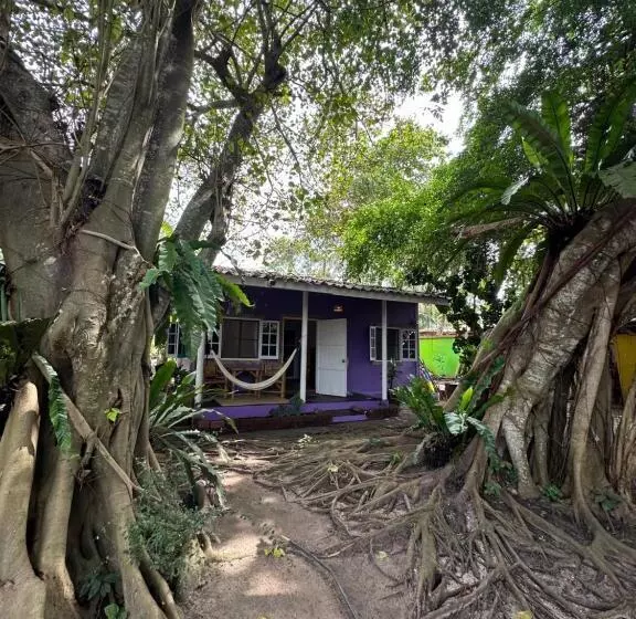 Lomakeskus Colorful Hut