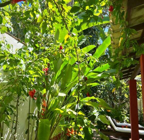 تختخواب و صبحانه Casa Da Beatriz