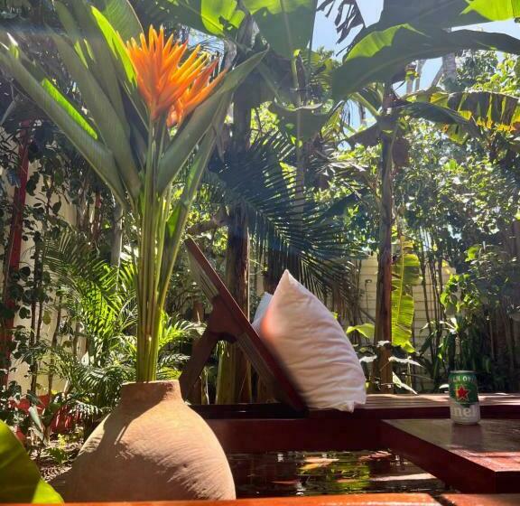 تختخواب و صبحانه Casa Da Beatriz