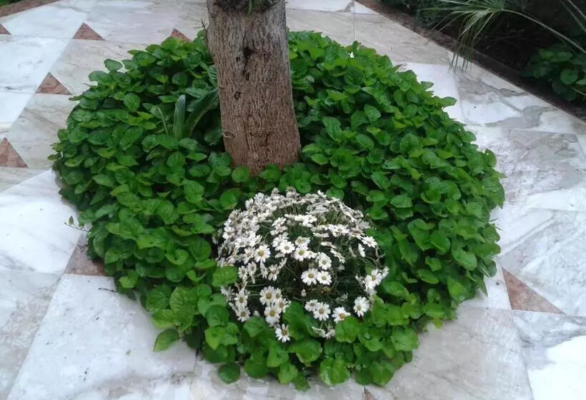 Eco B&b I Due Oleandri