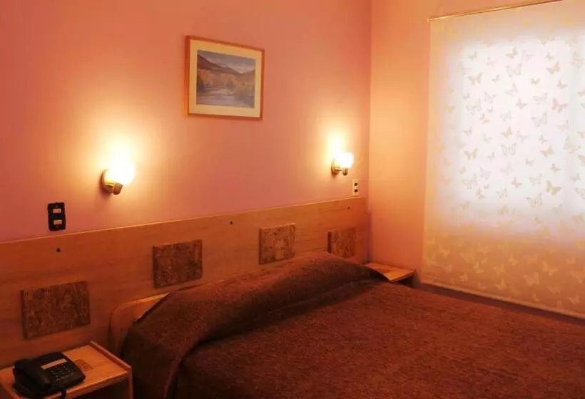 Hotelli Ayelen Express