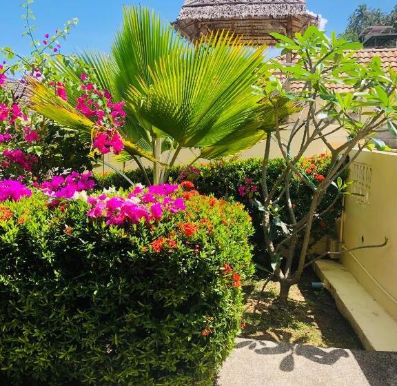 بنسيون Angelot Villa