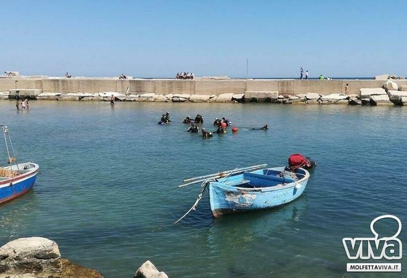 פנסיון B&b Al Duomo Molfetta