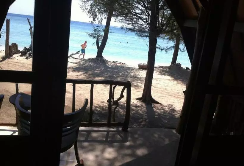 ペンション Bluecoral Bungalows