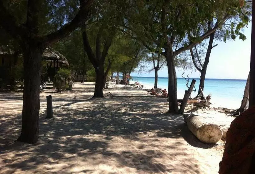 ペンション Bluecoral Bungalows