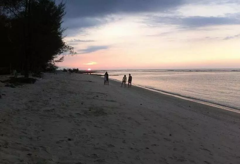 ペンション Bluecoral Bungalows