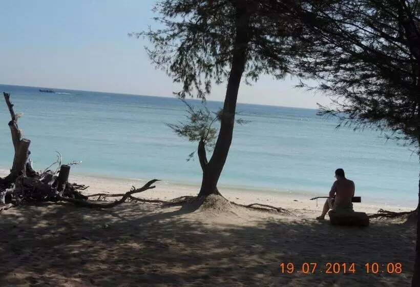 ペンション Bluecoral Bungalows