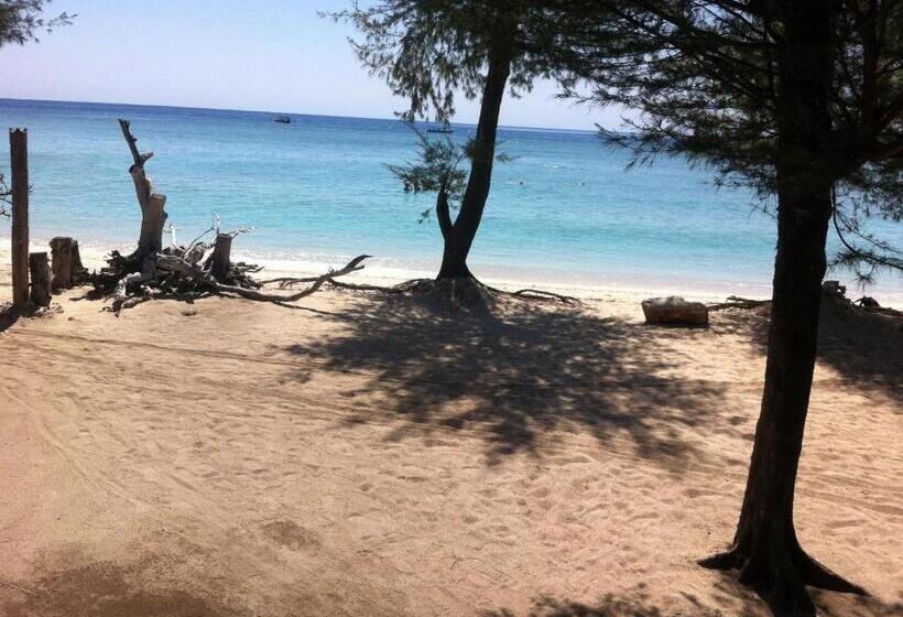 Pensjonat Bluecoral Bungalows