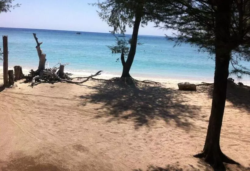 ペンション Bluecoral Bungalows