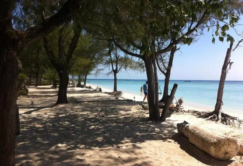 ペンション Bluecoral Bungalows