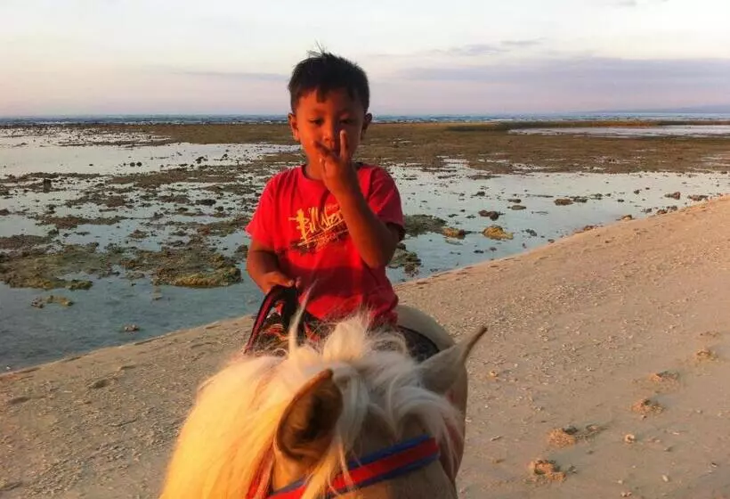 ペンション Bluecoral Bungalows