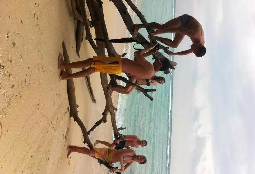 ペンション Bluecoral Bungalows