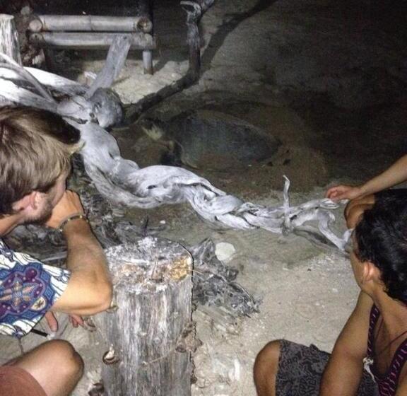 Pensjonat Bluecoral Bungalows