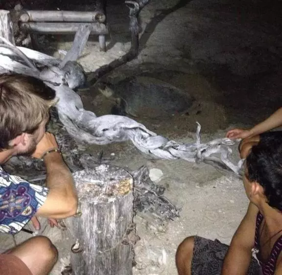 ペンション Bluecoral Bungalows