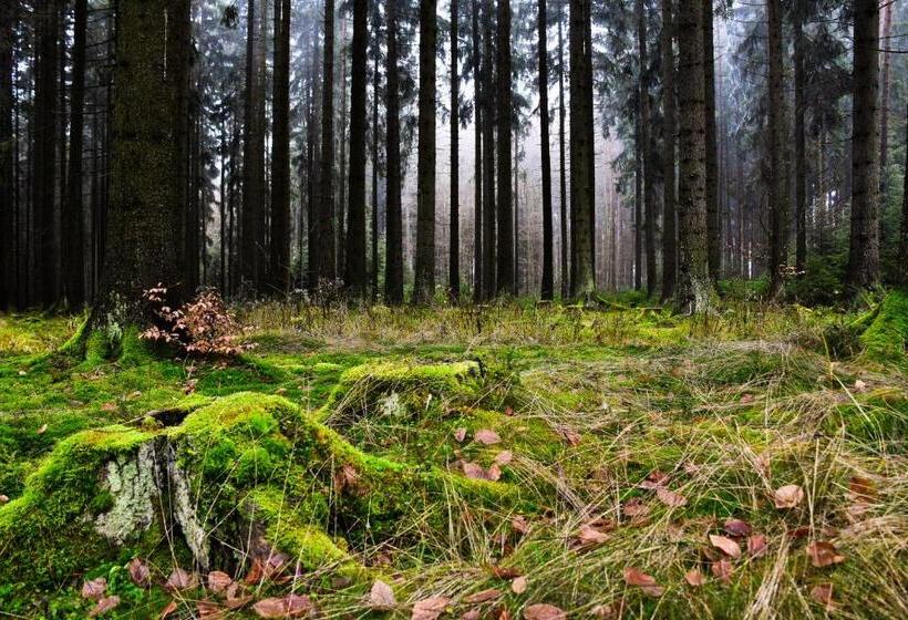 Пансион Hostinec A Penzion U Rezků