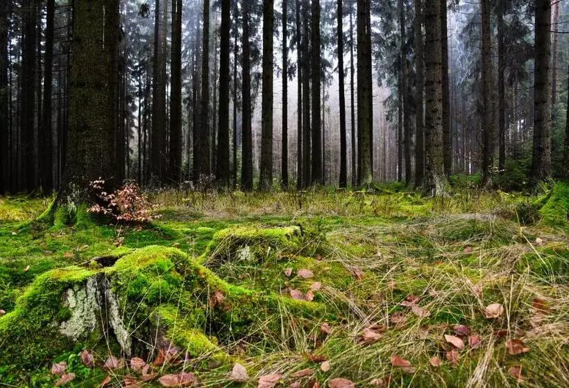Majatalo Hostinec A Penzion U Rezků